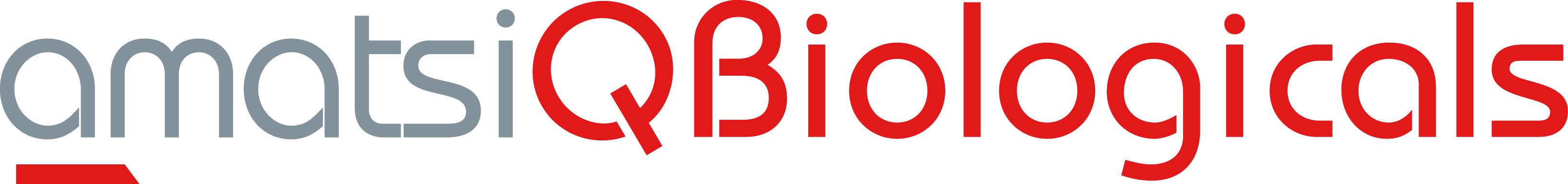 18 qb logo