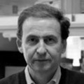 Photo of Prof. Alberto Orfao, MD, PhD